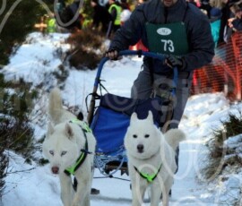 aviemoresnow032
