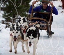 aviemoresnow045