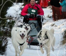 aviemoresnow047