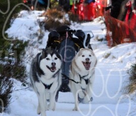 aviemoresnow049