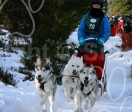 aviemoresnow063