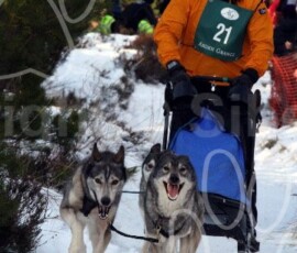 aviemoresnow065