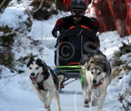 aviemoresnow072