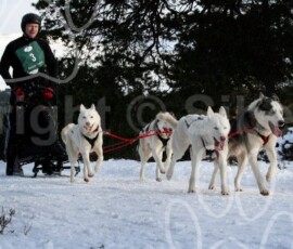 aviemoresnow108