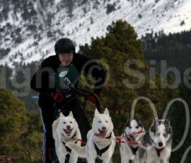 aviemoresnow109