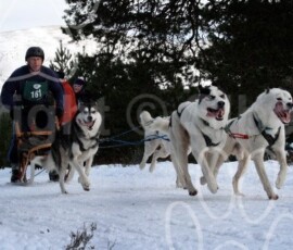 aviemoresnow112