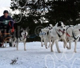 aviemoresnow113