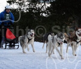 aviemoresnow121