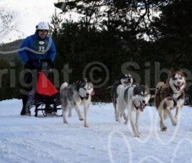 aviemoresnow122