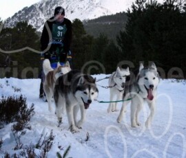 aviemoresnow134