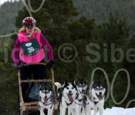 aviemoresnow140
