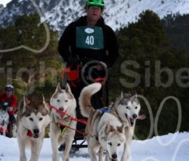aviemoresnow145