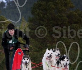 aviemoresnow159