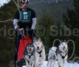 aviemoresnow162