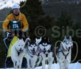 aviemoresnow169