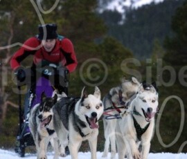 aviemoresnow198