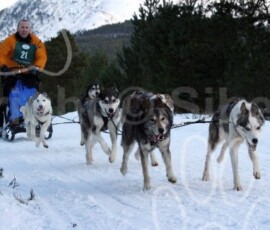 aviemoresnow213