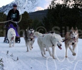aviemoresnow227