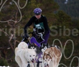 aviemoresnow228