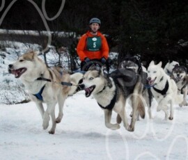 aviemoresnow241