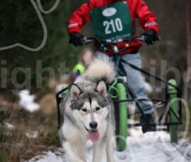 aviemoresnow247