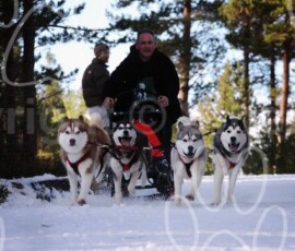aviemoresnow274