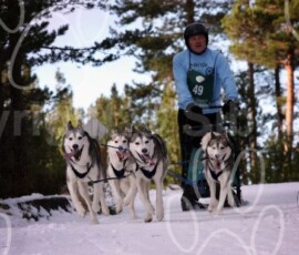 aviemoresnow310