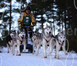 aviemoresnow362