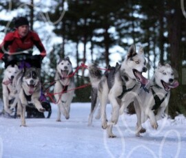 aviemoresnow365
