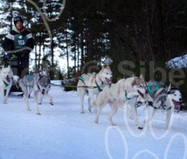 aviemoresnow378