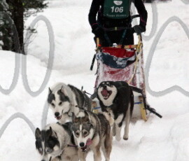 avisnow-215