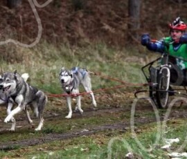 broomhill071