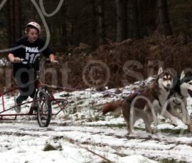 broomhill102