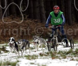 brommhill236