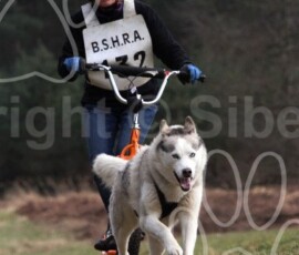 cranwich021