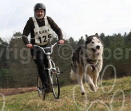 cranwich032