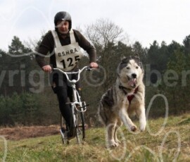cranwich033