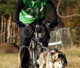 fordrally025