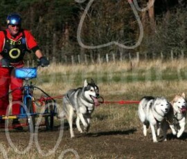 fordrally090
