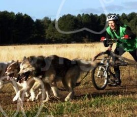 fordrally091