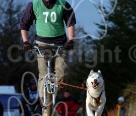 greystoke035