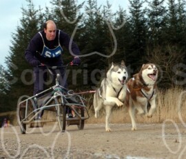 greystoke048
