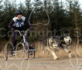 greystoke055