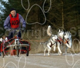 greystoke080
