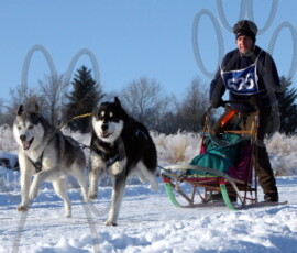 moregray074