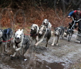 rendlesham007