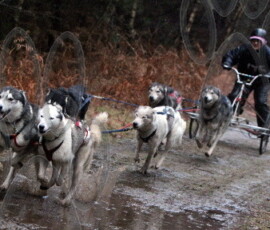 rendlesham008