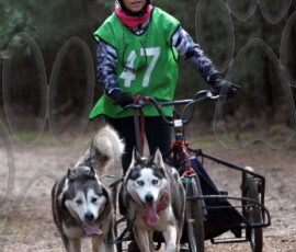 rendlesham018