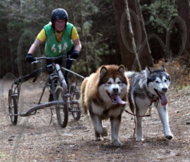 rendlesham019