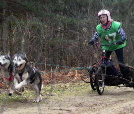 rendlesham023